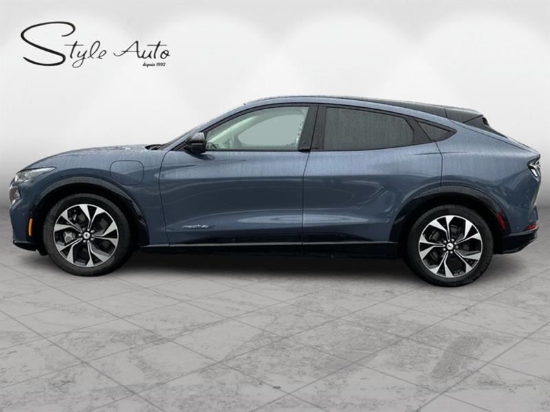 ford Mustang Mach-E 2021 - 7