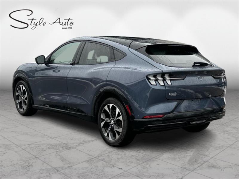 ford Mustang Mach-E 2021 - 8