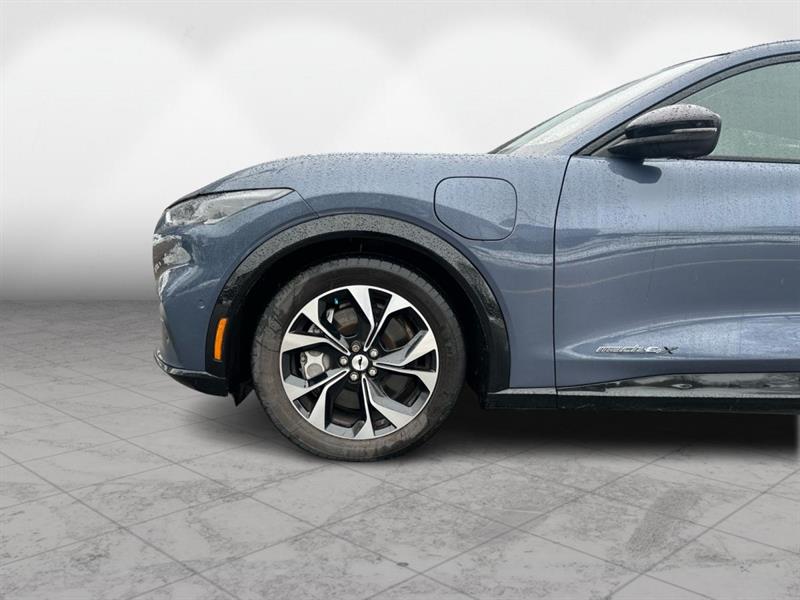 ford Mustang Mach-E 2021 - 9