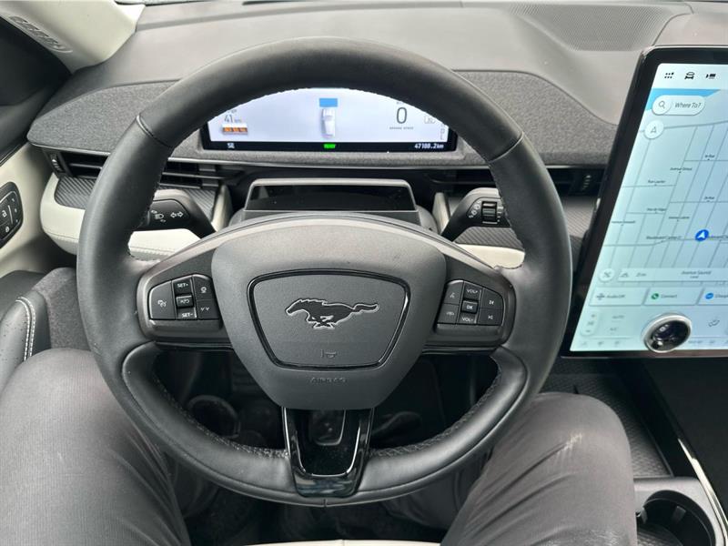 ford Mustang Mach-E 2021 - 10