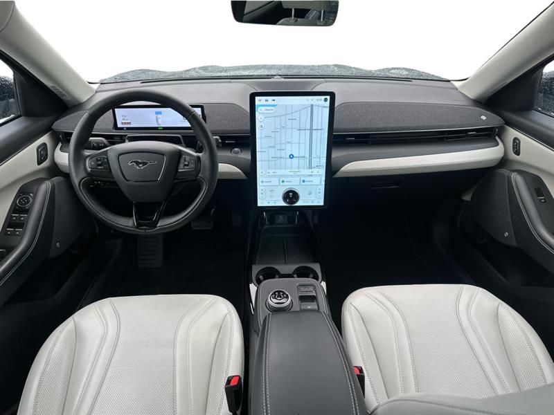 ford Mustang Mach-E 2021 - 11