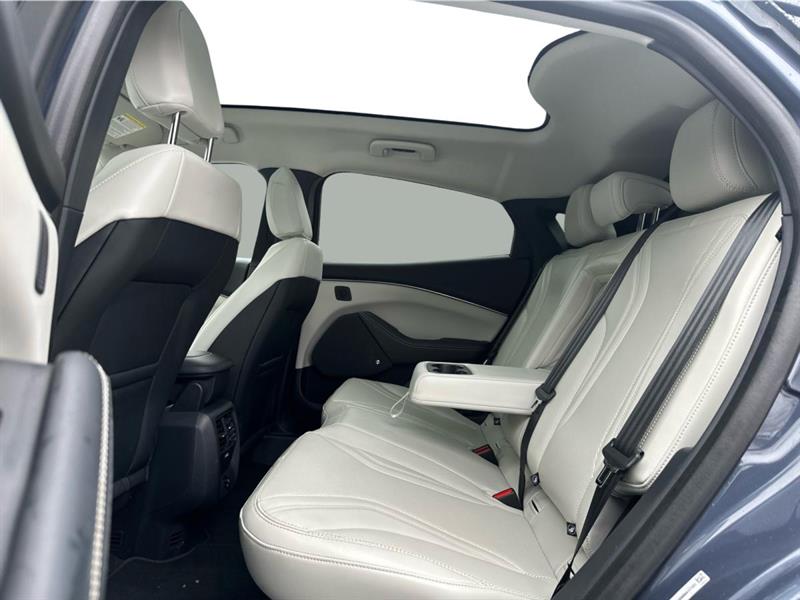 ford Mustang Mach-E 2021 - 13