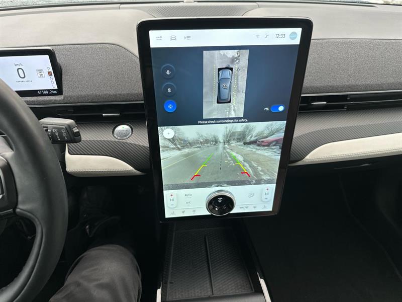 ford Mustang Mach-E 2021 - 15