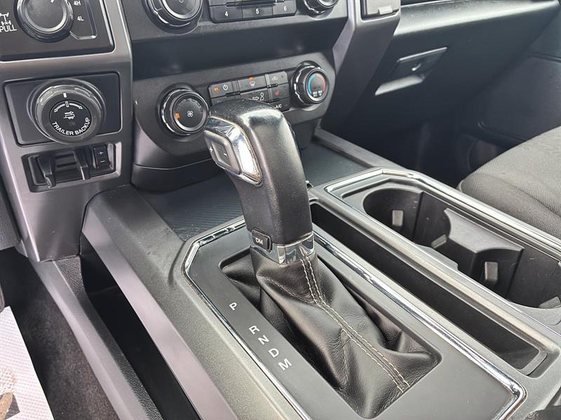 ford F-150 2019 - 14