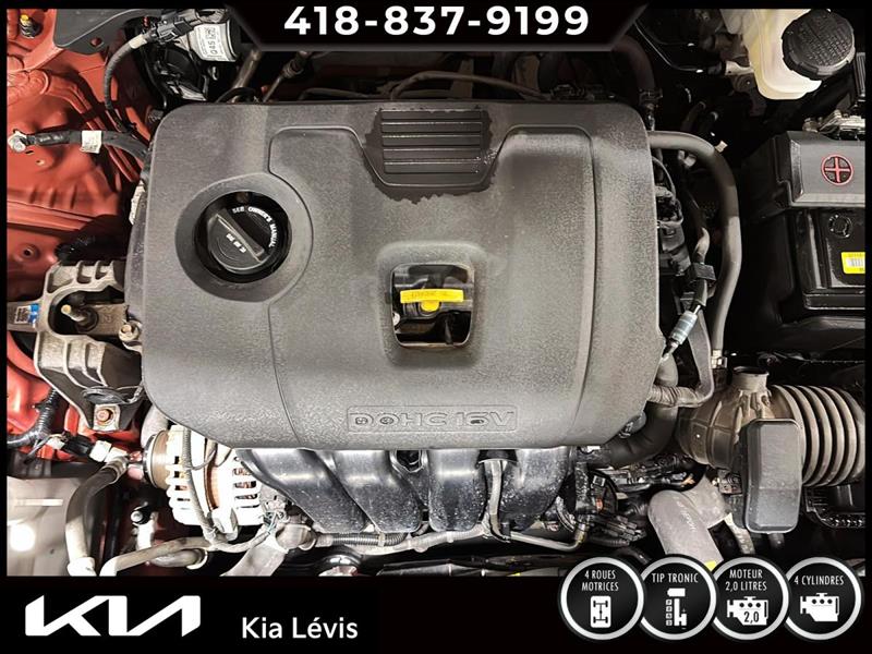 kia Seltos 2022 - 16