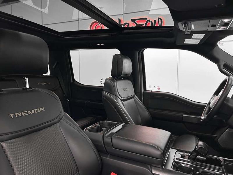 ford F-150 2023 - 30