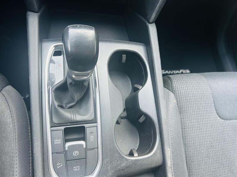 hyundai Santa Fe 2020 - 12