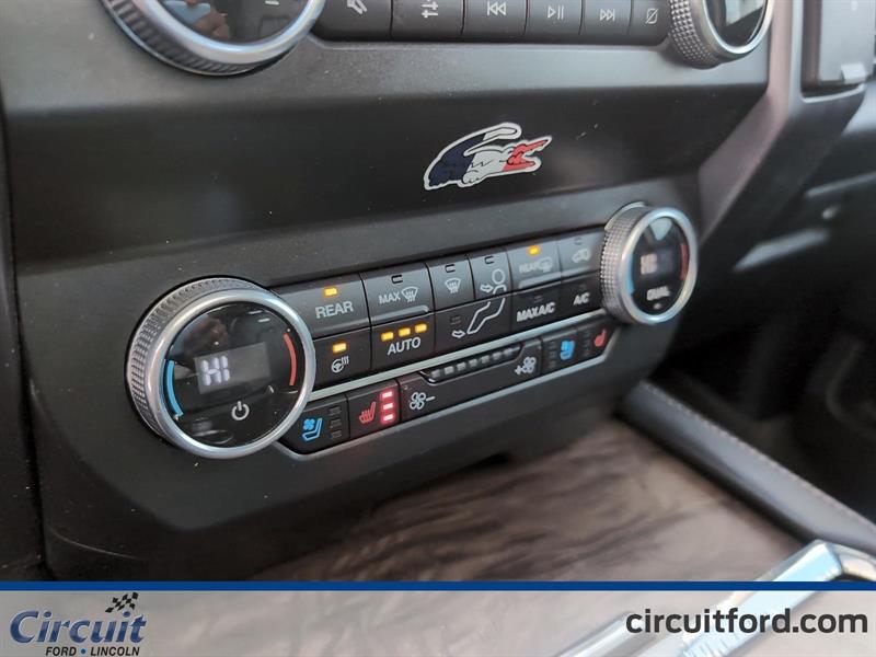 ford Expedition 2021 - 16