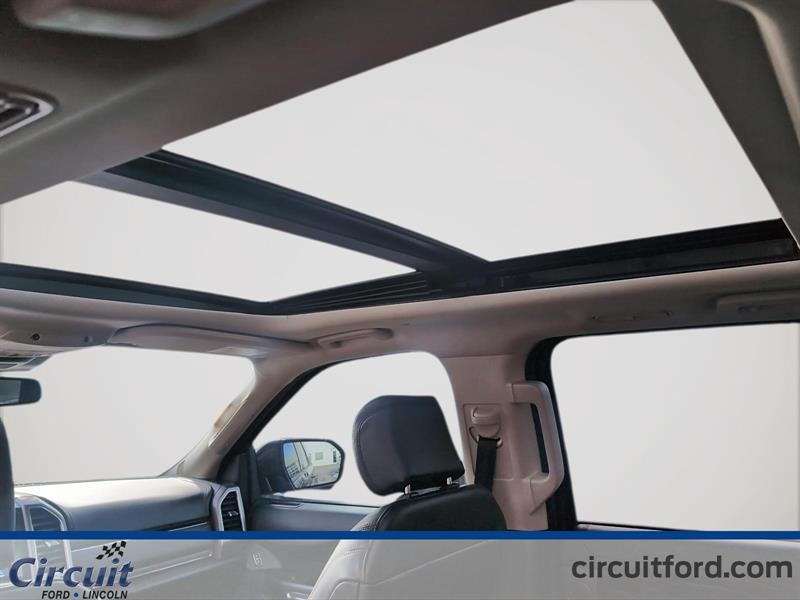 ford Expedition 2021 - 20