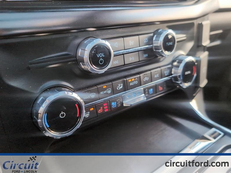 ford F-150 2023 - 15