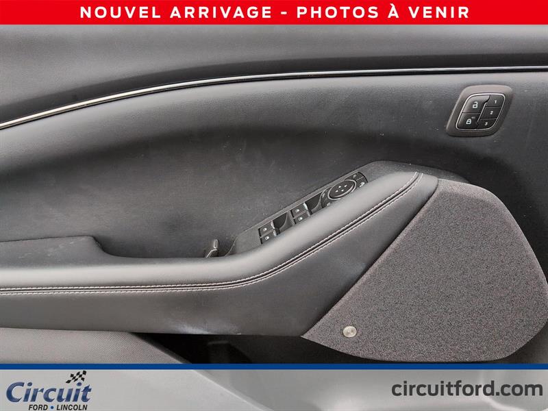 ford Mustang Mach-E 2021 - 8