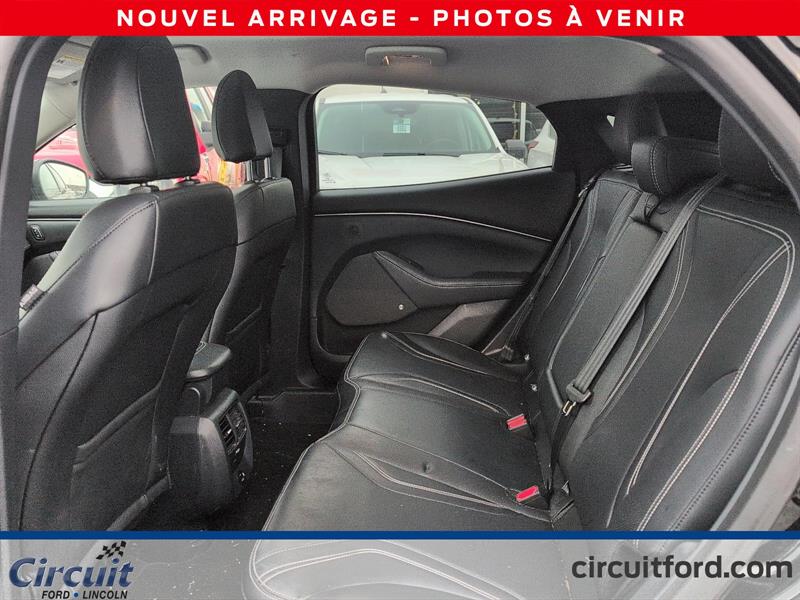 ford Mustang Mach-E 2021 - 14