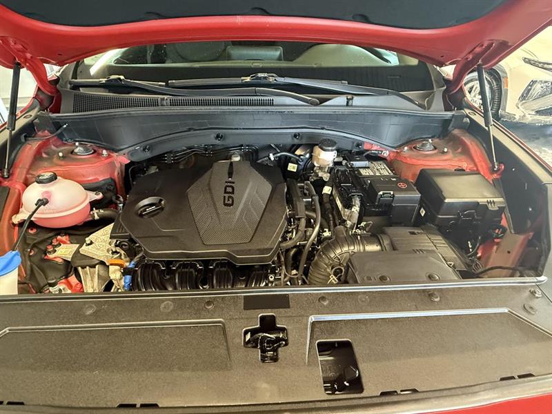 hyundai Santa Fe 2021 - 10