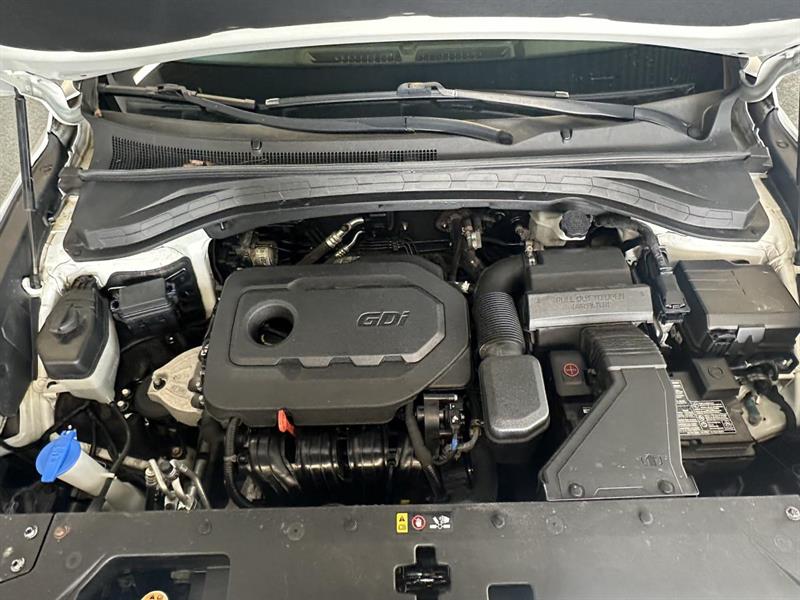 hyundai Santa Fe 2020 - 10