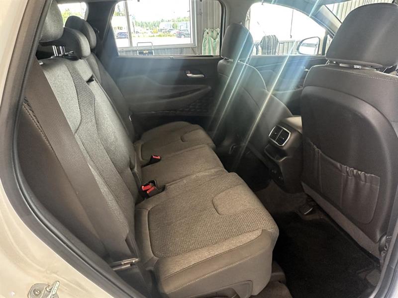 hyundai Santa Fe 2020 - 17