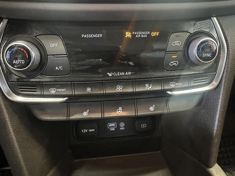 hyundai Santa Fe 2020 - 25