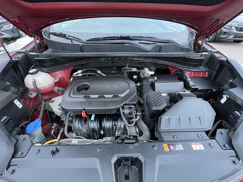 kia Sportage 2022 - 24