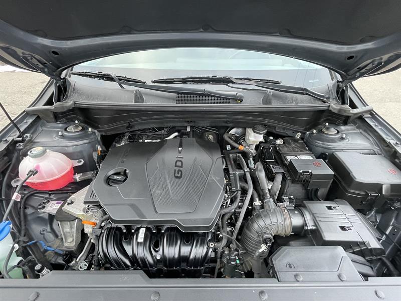 kia Sportage 2024 - 28