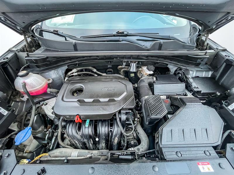 kia Sportage 2021 - 25