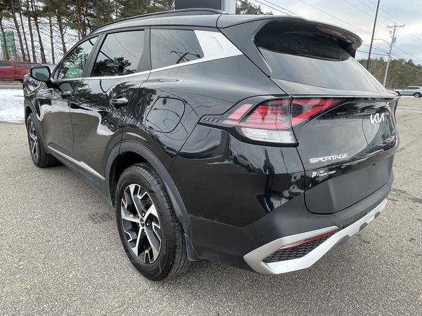kia Sportage 2024 - 5