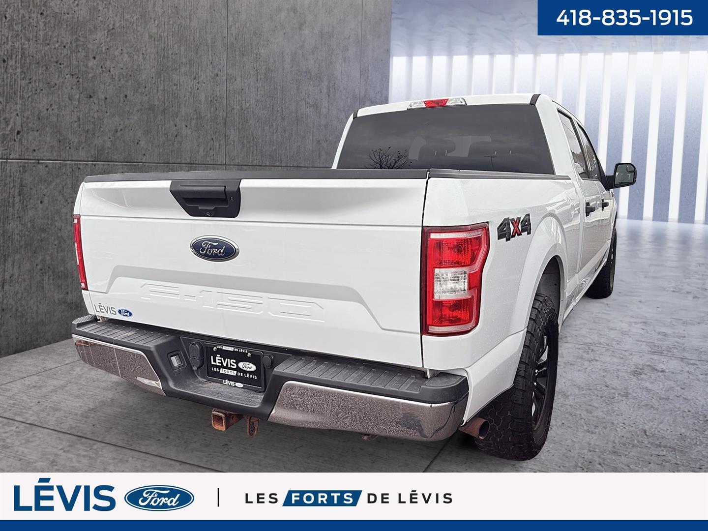 ford F-150 2019 - 4