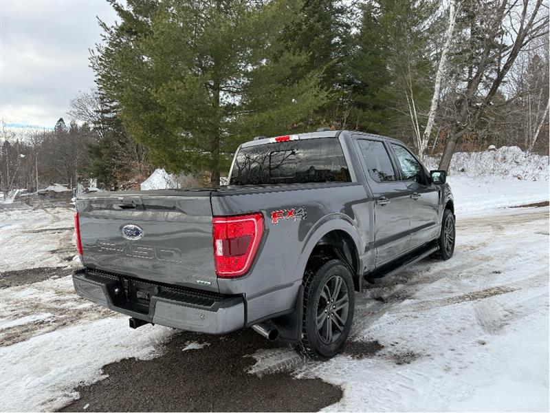 ford F-150 2021 - 4