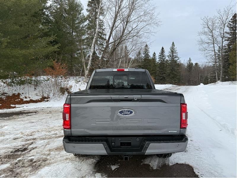 ford F-150 2021 - 5