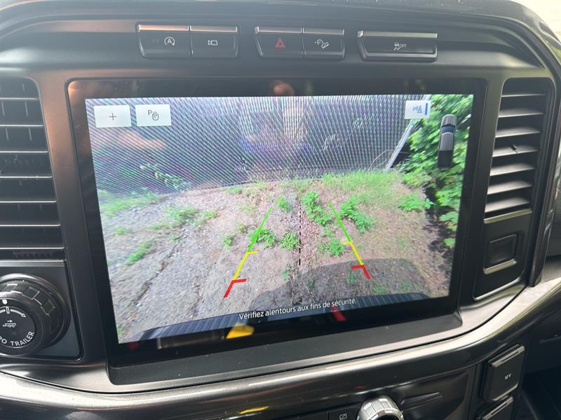 ford F-150 2021 - 11