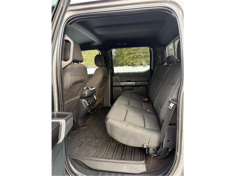 ford F-150 2021 - 15