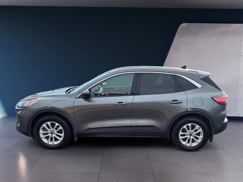 ford Escape 2022 - 2