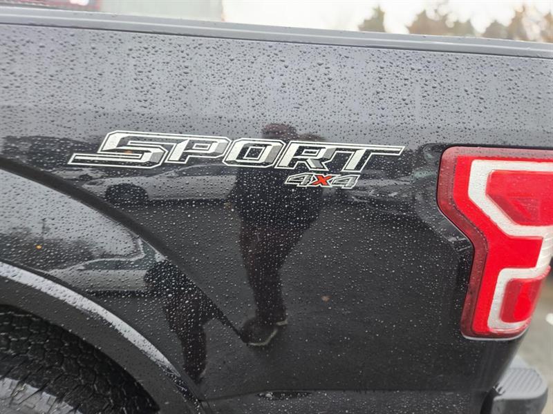 ford F-150 2019 - 10