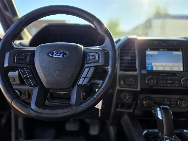 ford F-150 2019 - 14