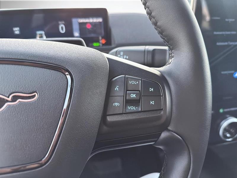 ford Mustang Mach-E 2025 - 16