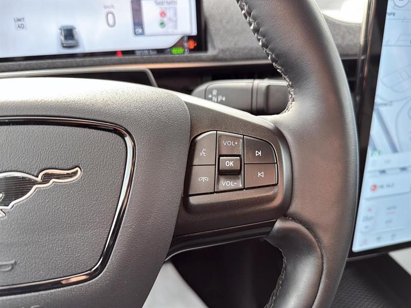 ford Mustang Mach-E 2025 - 16