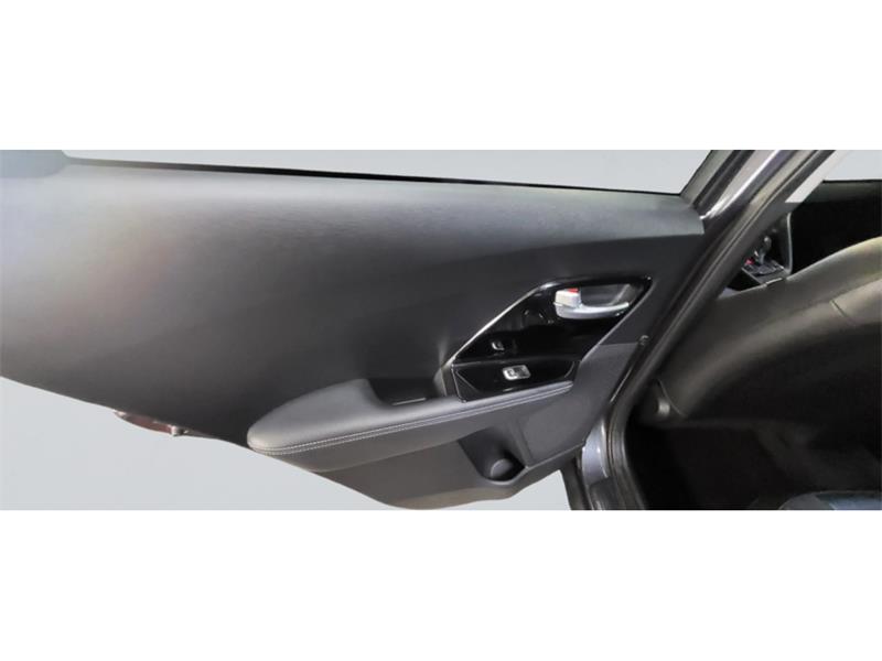 kia Niro Plug-In Hybrid 2019 - 17