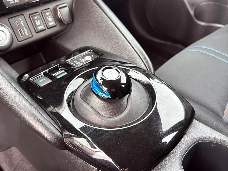 nissan LEAF 2020 - 19