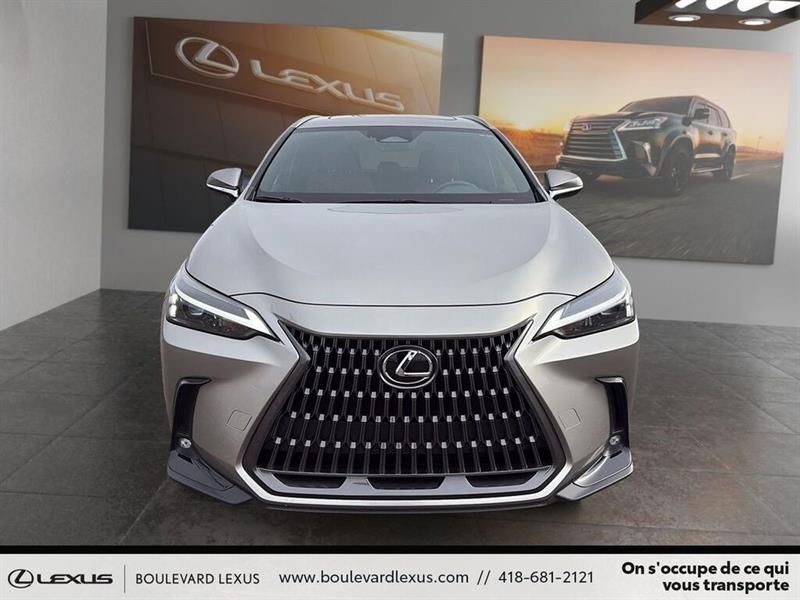 lexus NX 2024 - 2