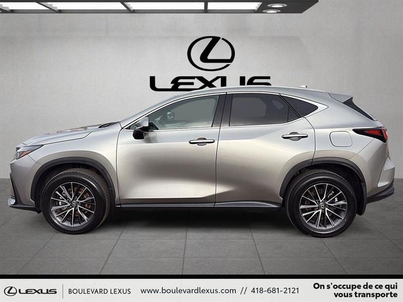 lexus NX 2024 - 6