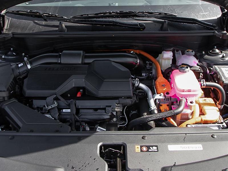 kia Sportage HEV 2026 - 6