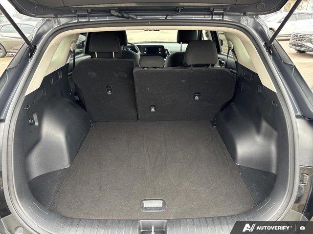 kia Sportage 2025 - 15