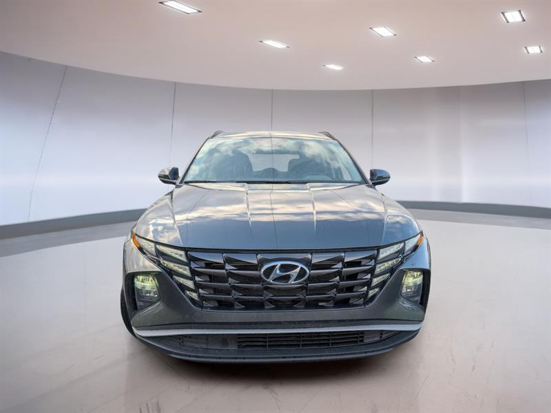 hyundai Tucson 2023 - 2