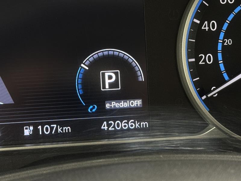 nissan LEAF 2019 - 22