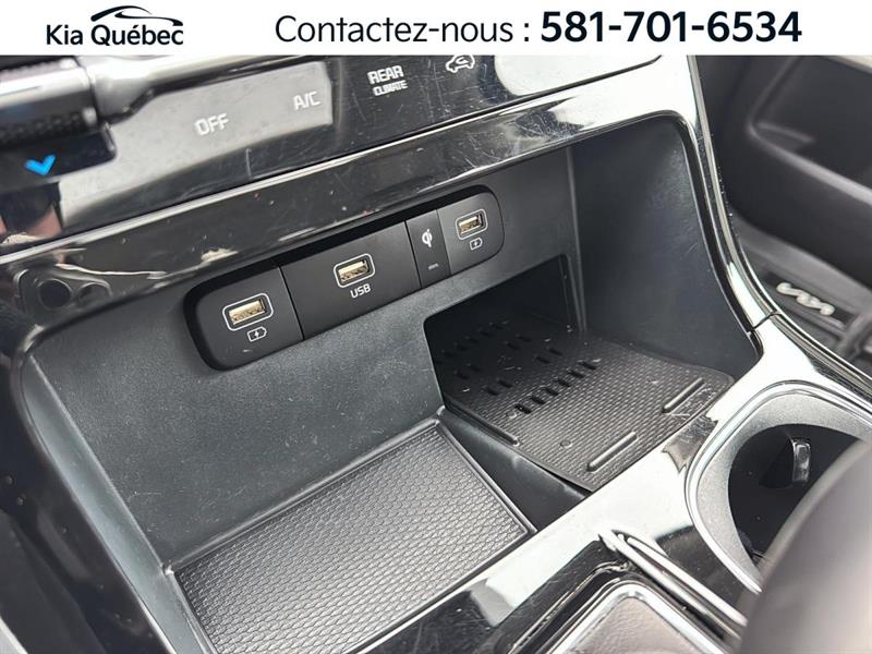 kia Carnival 2024 - 29