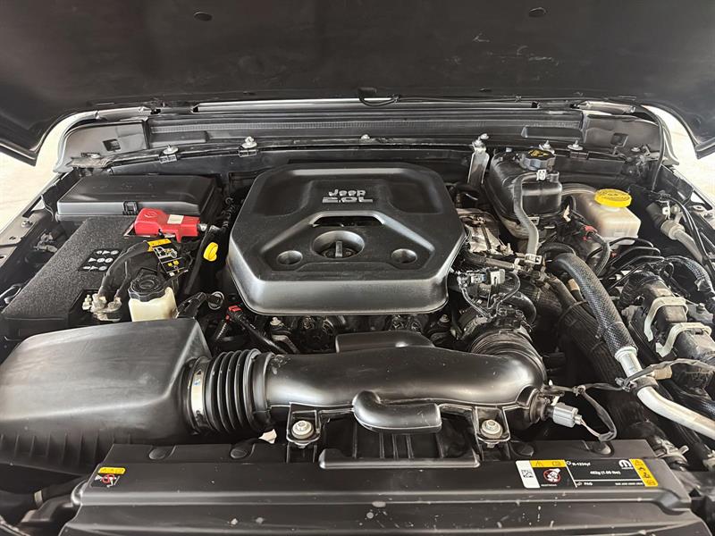 jeep Wrangler 2021 - 22