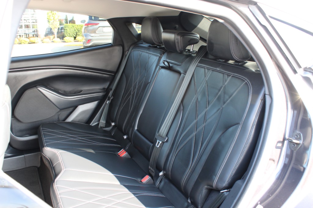 ford Mustang Mach-E 2022 - 14