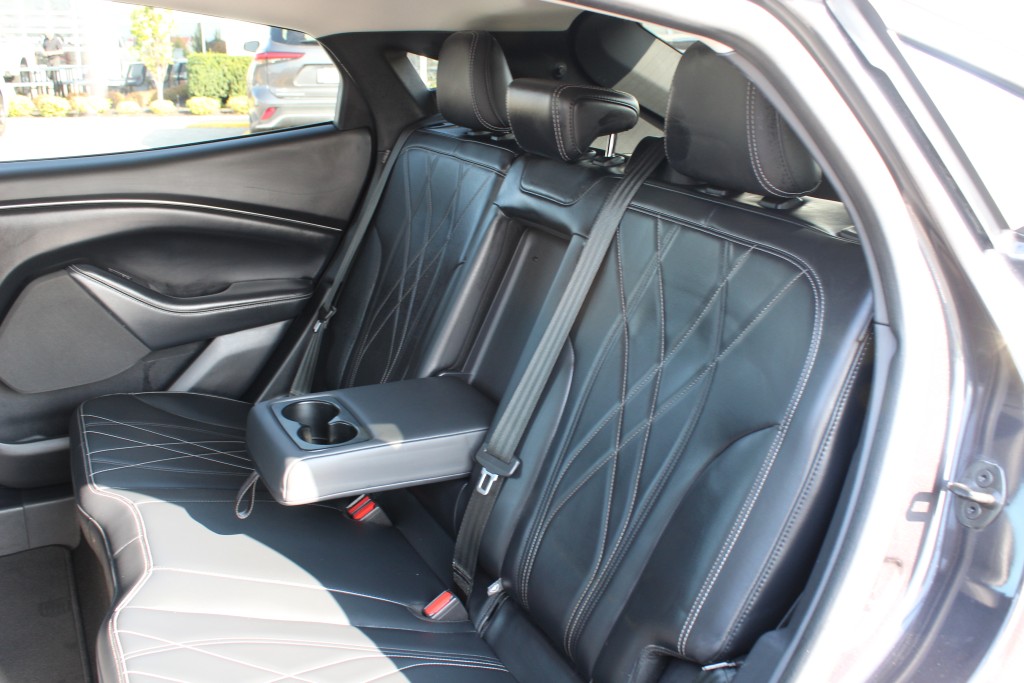 ford Mustang Mach-E 2022 - 15