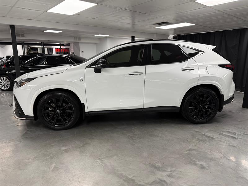 lexus NX 350 2022 - 2