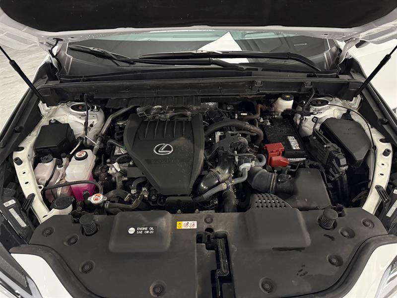 lexus NX 350 2022 - 30