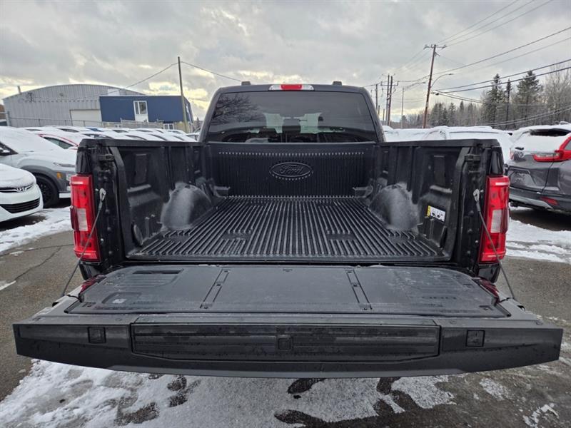 ford F-150 2023 - 9