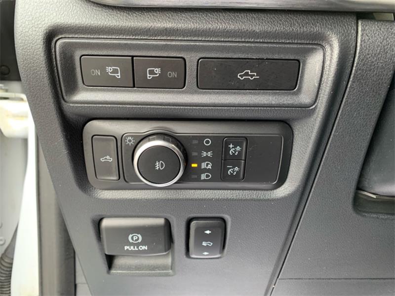 ford F-150 2021 - 19